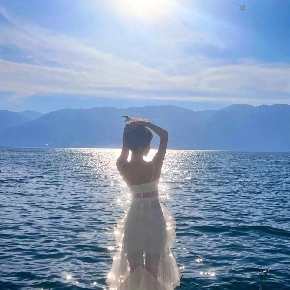 海绵宝宝:海陆大出击
